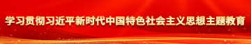 日逼涩涩爱学习贯彻习近平新时代中国特色社会主义思想主题教育